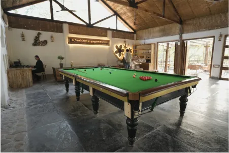 Games lounge with a full-size snooker table under a high thatched roof