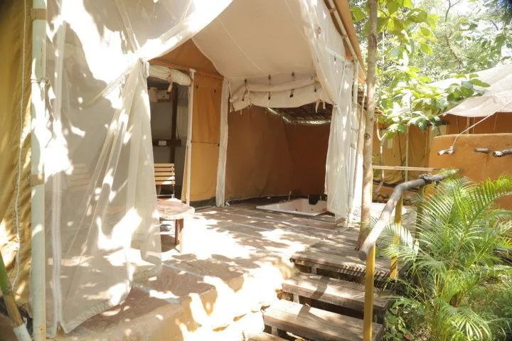 Sunlit tent entrance with drapes opening to the forest